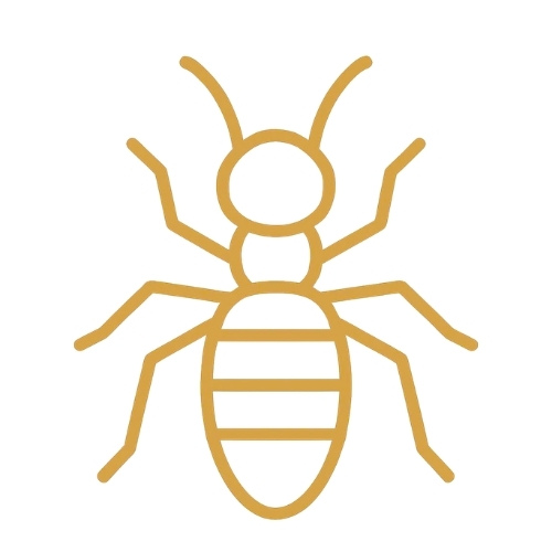 Icon representing termite or pest damage affecting the structural integrity of a deck.